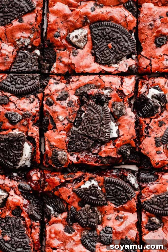 Velvet Swirl Oreo Fudge Brownies 7 A bird's eye view of the sliced brownies in neat rows.