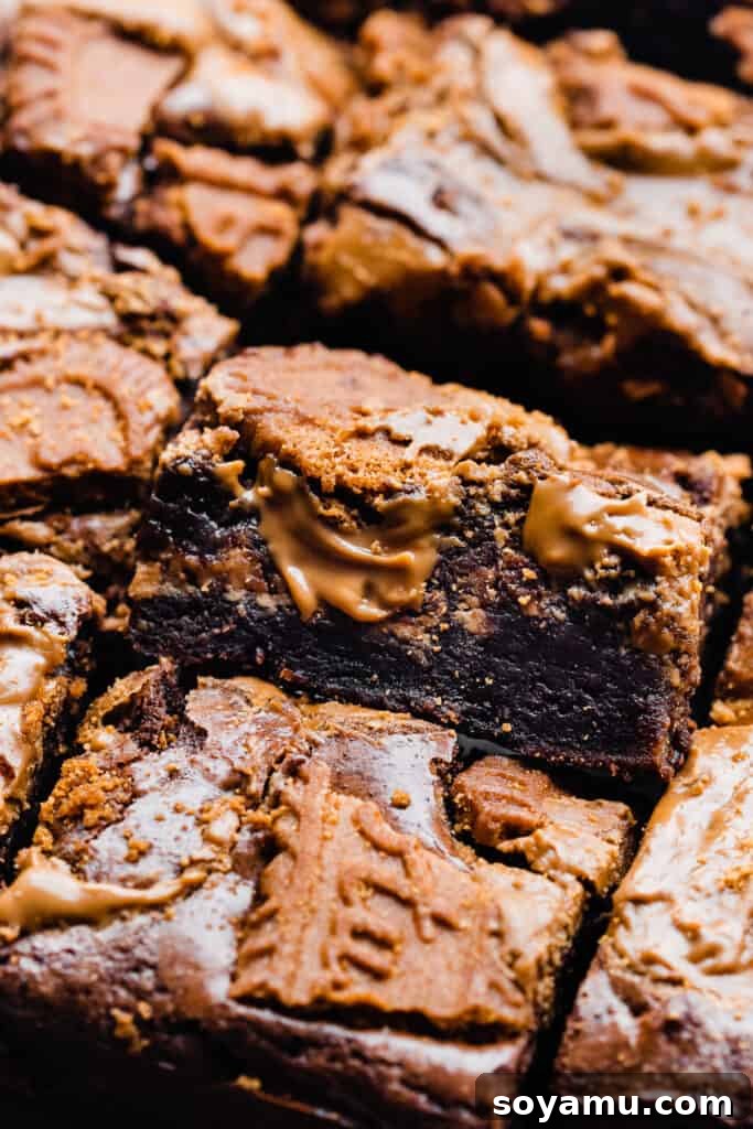 Decadent Biscoff Brownie Bombs 3 A side view of a rich, fudgy brownie peeking out of a baking pan, showing prominent cookie butter swirls and a moist interior.