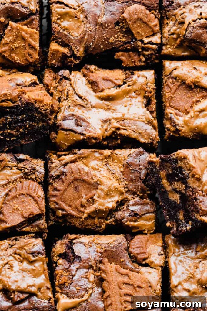 Decadent Biscoff Brownie Bombs 8 A bird's eye view of perfectly sliced Biscoff brownies arranged in rows, featuring rich chocolate, melty cookie butter pools, and crunchy cookie pieces on top.