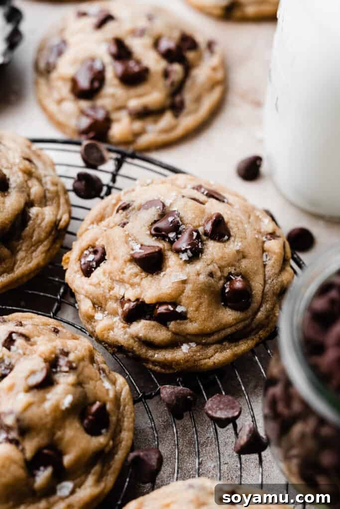 Eggless chocolate chip cookies on a vintage wire rack.
