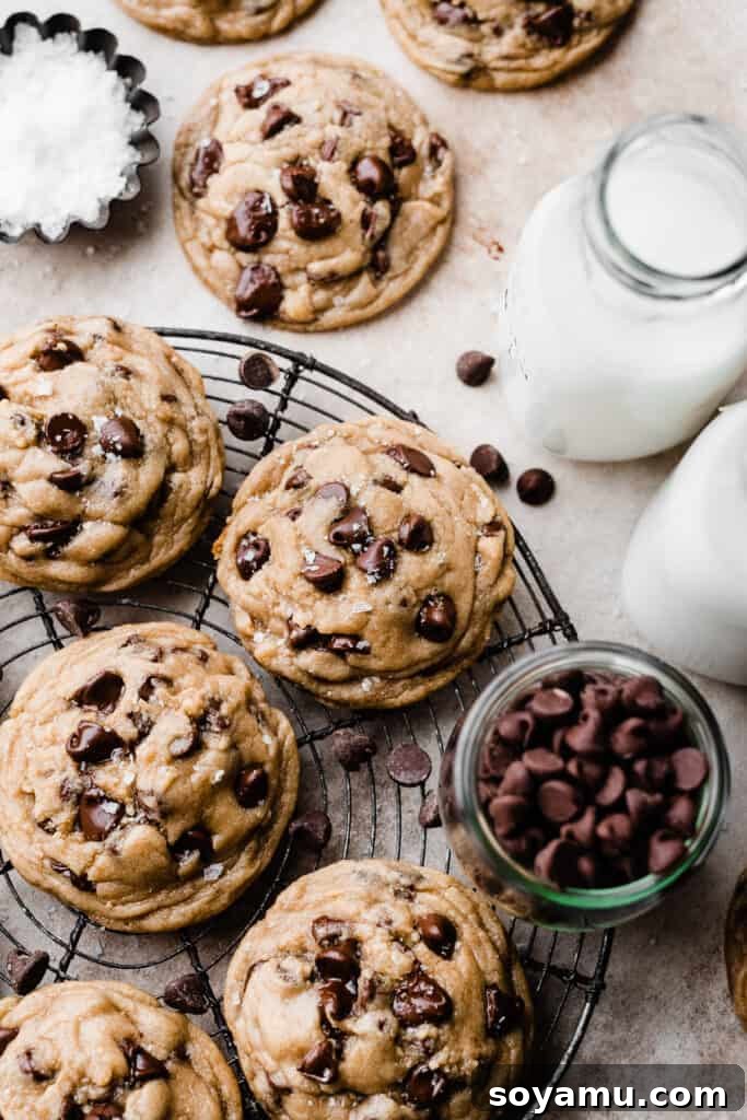 Eggless chocolate chip cookies on a vintage wire rack.