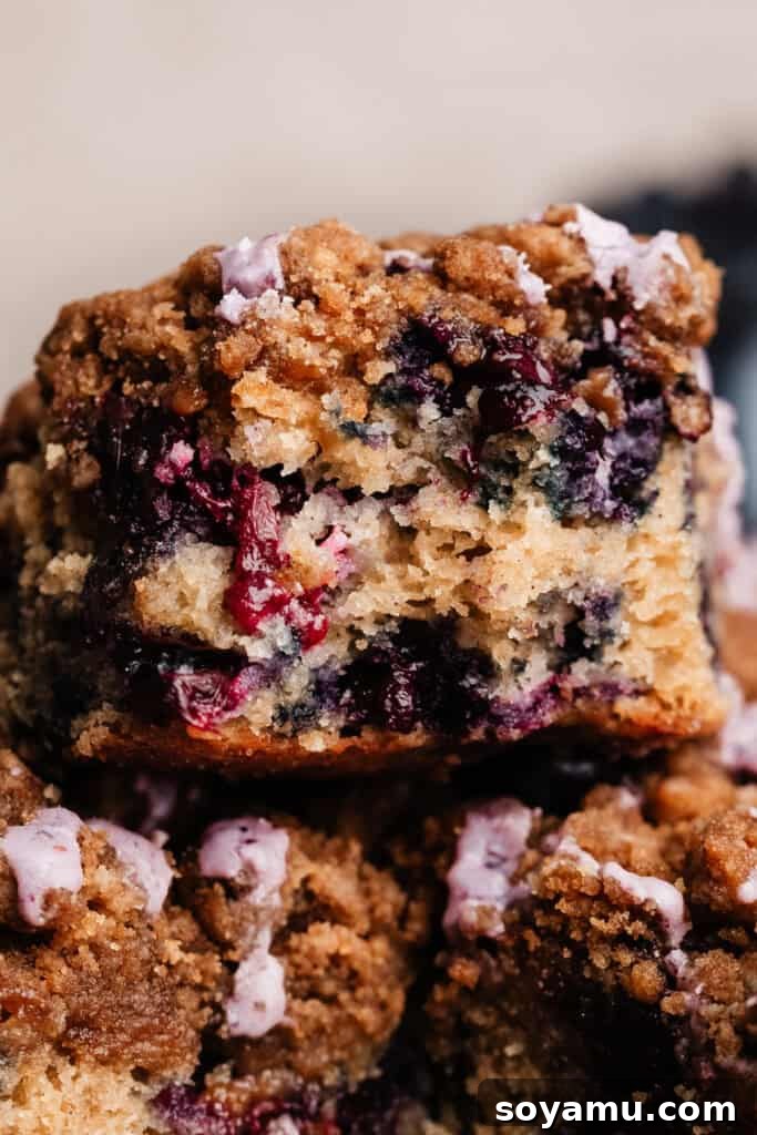 Blueberry Streusel Coffee Cake 11 A close-up shot revealing the fluffy, moist texture of a slice of blueberry coffee cake from the inside.