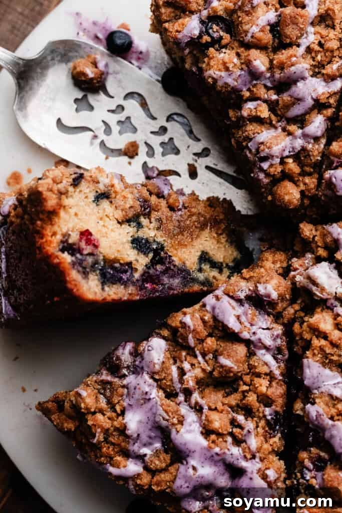 Blueberry Streusel Coffee Cake 3 A close-up on several slices of the blueberry coffee cake arranged on a cake plate, highlighting the crumb and blueberries.