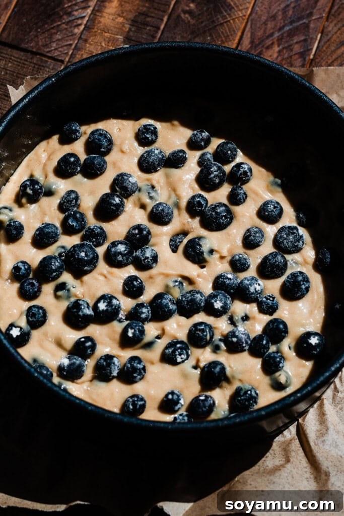 Blueberry Streusel Coffee Cake 6 Fresh blueberries scattered generously atop the cake batter in a springform pan.