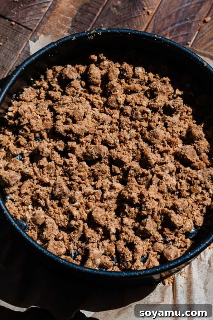 Blueberry Streusel Coffee Cake 7 The unbaked coffee cake topped generously with cinnamon streusel, sitting in a springform pan, ready for the oven.