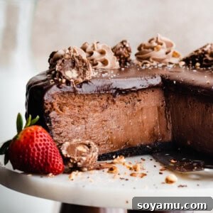 The sliced nutella cheesecake on a cake stand with nutella ganache and whipped cream.