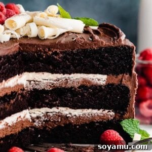 A cross-section of the inside of the sliced Tuxedo Cake, showing the chocolate layers and white ganache filling.
