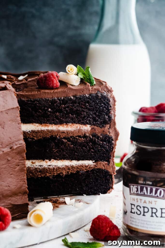 A perfectly sliced piece of Tuxedo Cake, showcasing the distinct layers of chocolate cake, white chocolate ganache, and dark chocolate frosting, topped with a fresh raspberry and white chocolate curls.