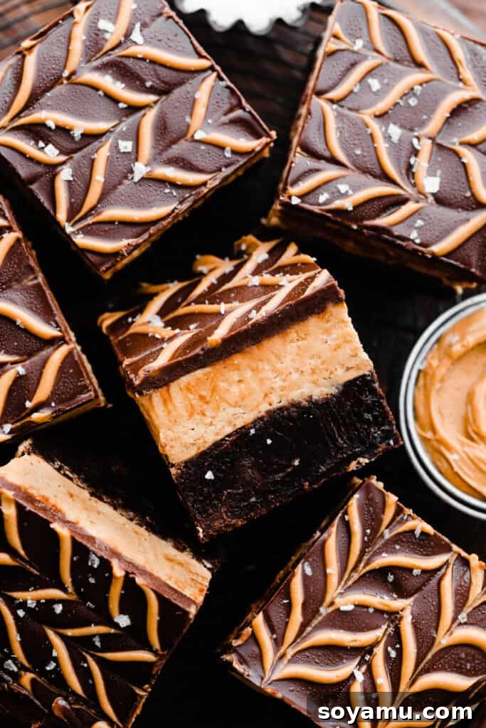Buckeye Bliss Brownies 11 Beautifully decorated Buckeye brownies featuring a prominent and intricate herringbone pattern on their smooth chocolate surface.