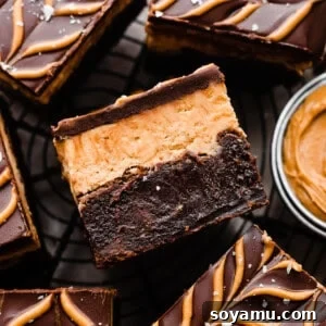 Buckeye Bliss Brownies 12 Buckeye brownies on a wire rack, with the visible peanut butter and brownie layers.