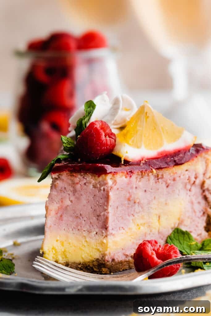 Zingy Raspberry Lemon Cloud Cheesecake 13 A close-up on a slice of the Raspberry Lemonade Cheesecake with a bite missing, showcasing the delicious interior.