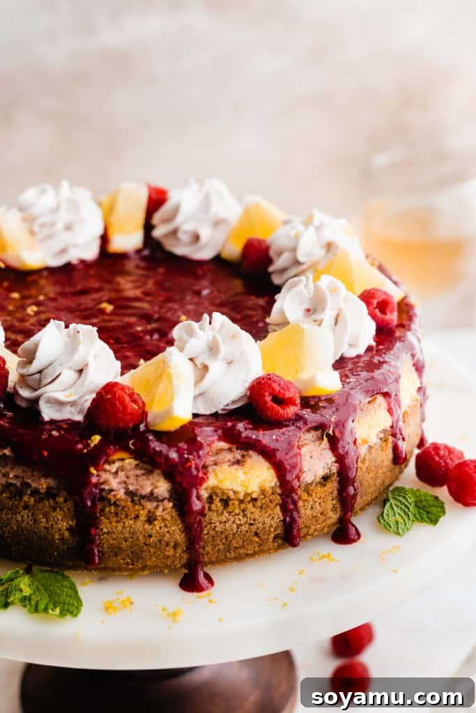 A creamy cheesecake lavishly topped with rich, smooth raspberry coulis.