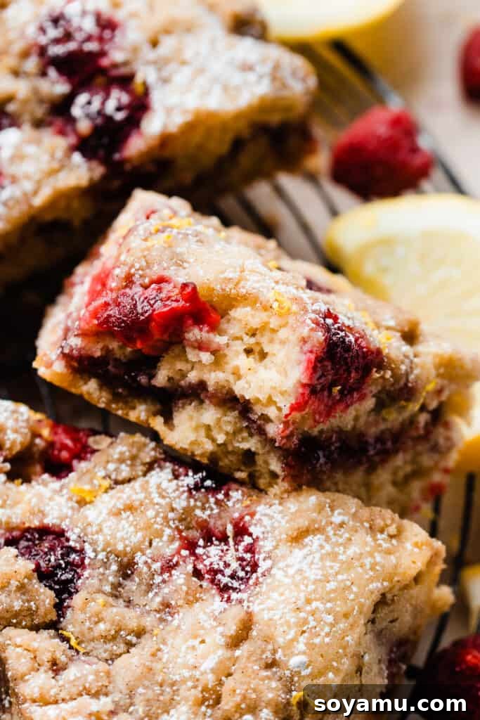 A delicious raspberry rippled coffee cake, beautifully swirled with raspberry coulis.