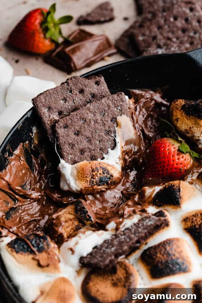 Simple 15 Minute Skillet Smores Dip 3 A close-up shot capturing a graham cracker sinking into the gooey Skillet S'mores Dip, showcasing the rich textures of melted chocolate, creamy peanut butter, and perfectly toasted marshmallows.