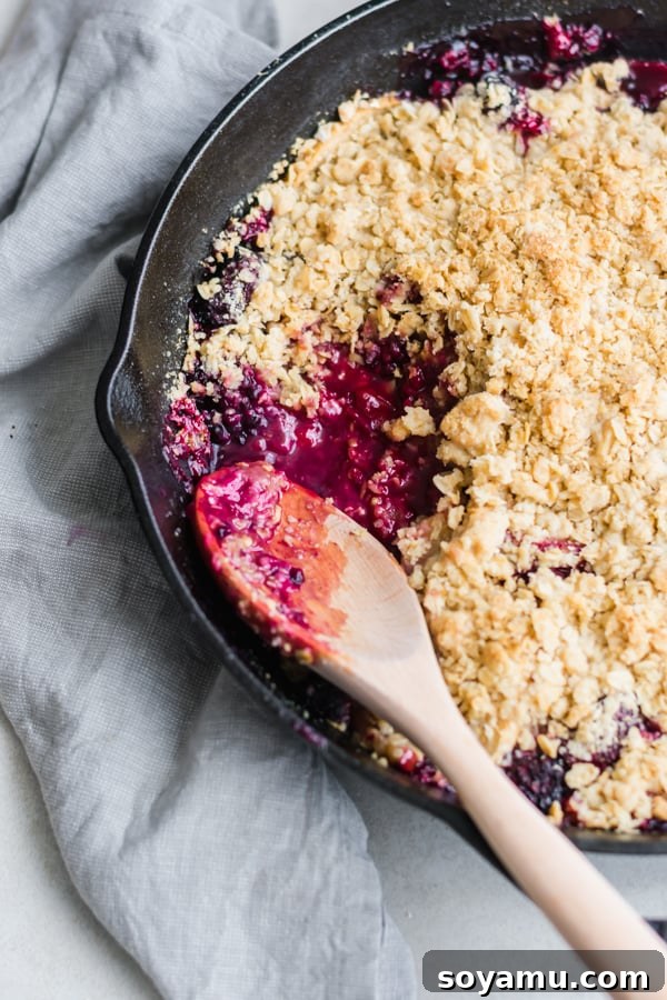 A generous serving of Summer Glory Skillet Crumble, with its rich purple fruit and golden topping, ready to be enjoyed.