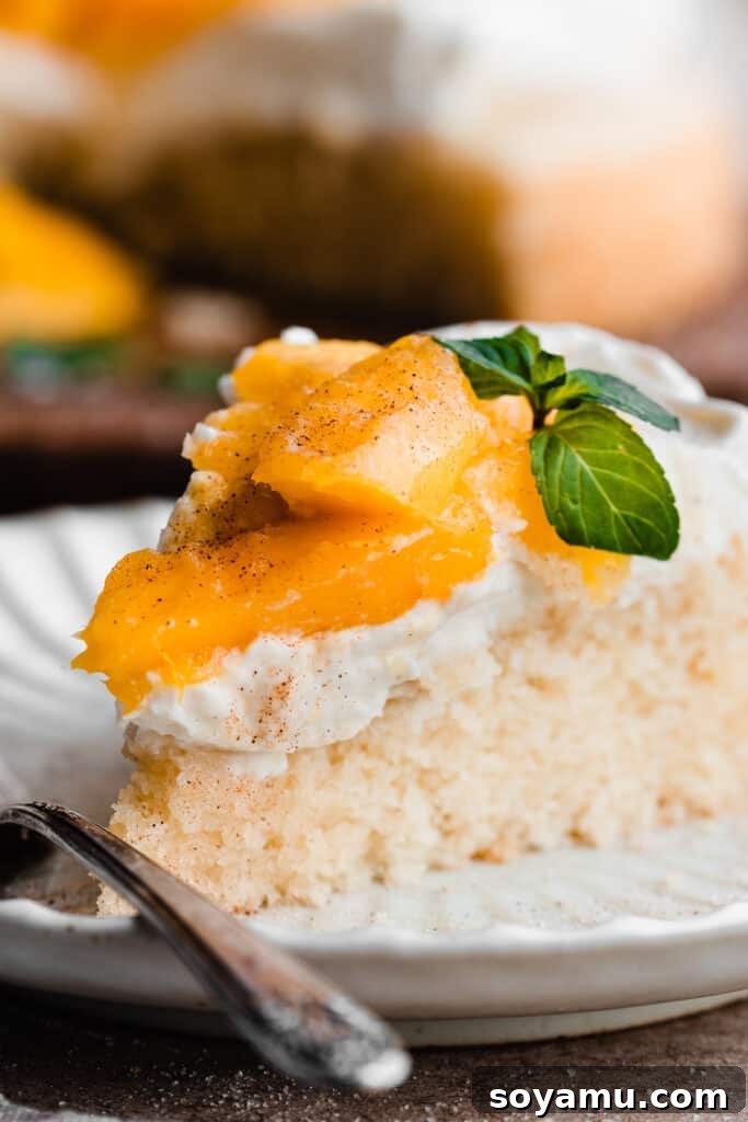 Tropical Mango Snack Delight 2 A close-up on a slice of the mango cake, showing layers of vanilla cake, whipped cream, and mango.