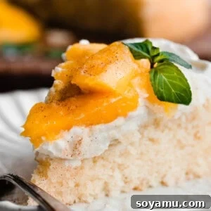 Mango cake on a dessert plate, showcasing its fresh fruit topping.