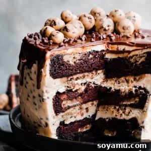 The sliced open cookie dough cake, showing layers of chocolate cake, cookie dough filling, and cookie dough frosting.