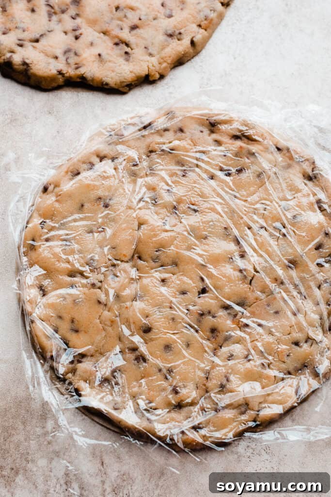 Decadent Cookie Dough Cake 5 A disc of chocolate chip cookie dough.