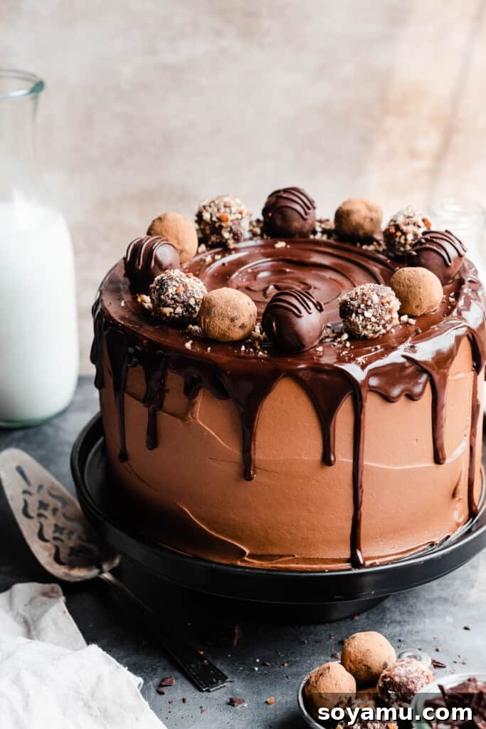 Velvet Chocolate Truffle Cake with Creamy Milk Chocolate Frosting 10 The fully assembled chocolate truffle cake.