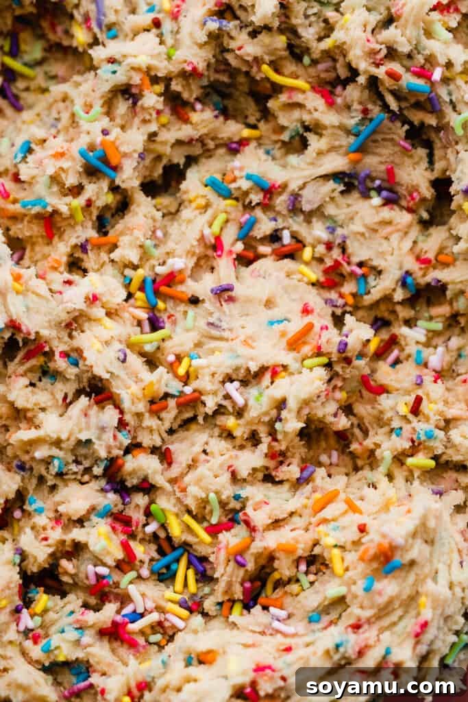 Irresistible Funfetti Cookies with a Cake Batter Cheesecake Surprise 4 A close-up of the sprinkle cookie dough, vibrant with colorful jimmies, ready for the next step of chilling and shaping.