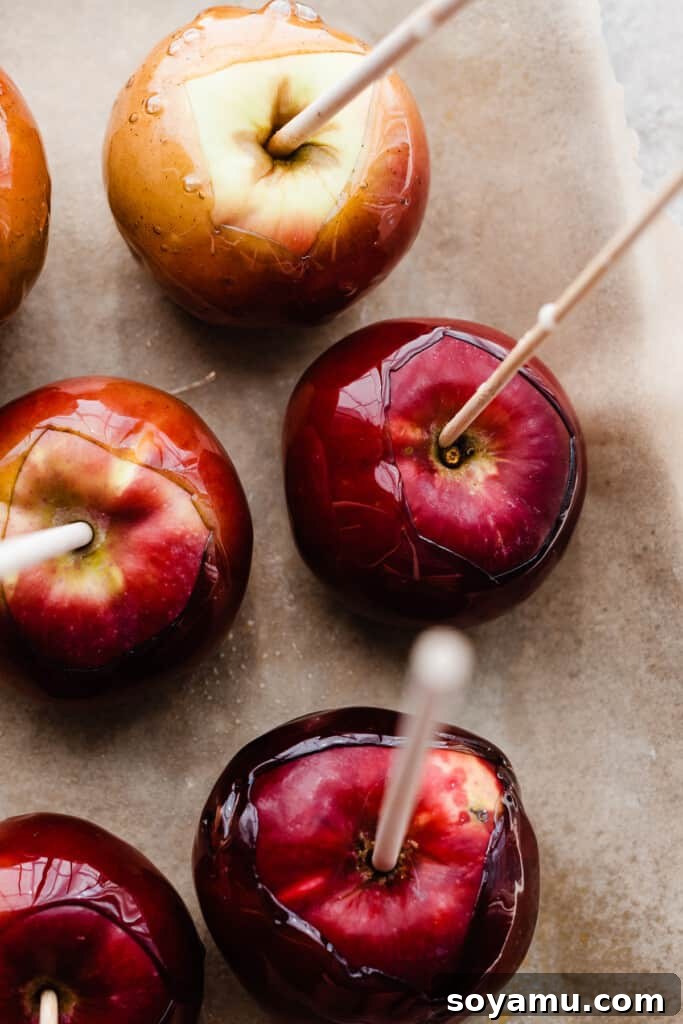 Multiple freshly dipped candy apples, skewered and arranged on a parchment-lined baking sheet sprayed with nonstick spray, allowing them to cool and set.