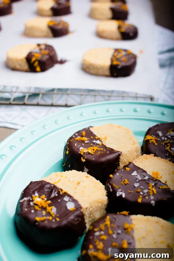 Tray of ready-to-decorate shortbread cookies Tray of freshly baked salted dark chocolate orange shortbread cookies