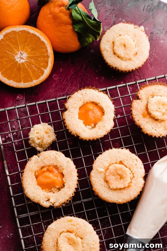 A close-up of baked orange cupcakes, with one cupcake actively being cored and filled with the vibrant orange curd, preparing it for frosting.