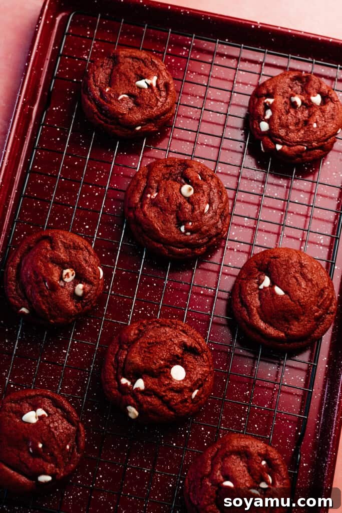 Decadent Red Velvet Cookies with Cream Cheese Frosting 6 A baking sheet filled with perfectly baked and cooled red velvet cookies, their vibrant red color a beautiful contrast to the golden brown edges, ready for frosting.