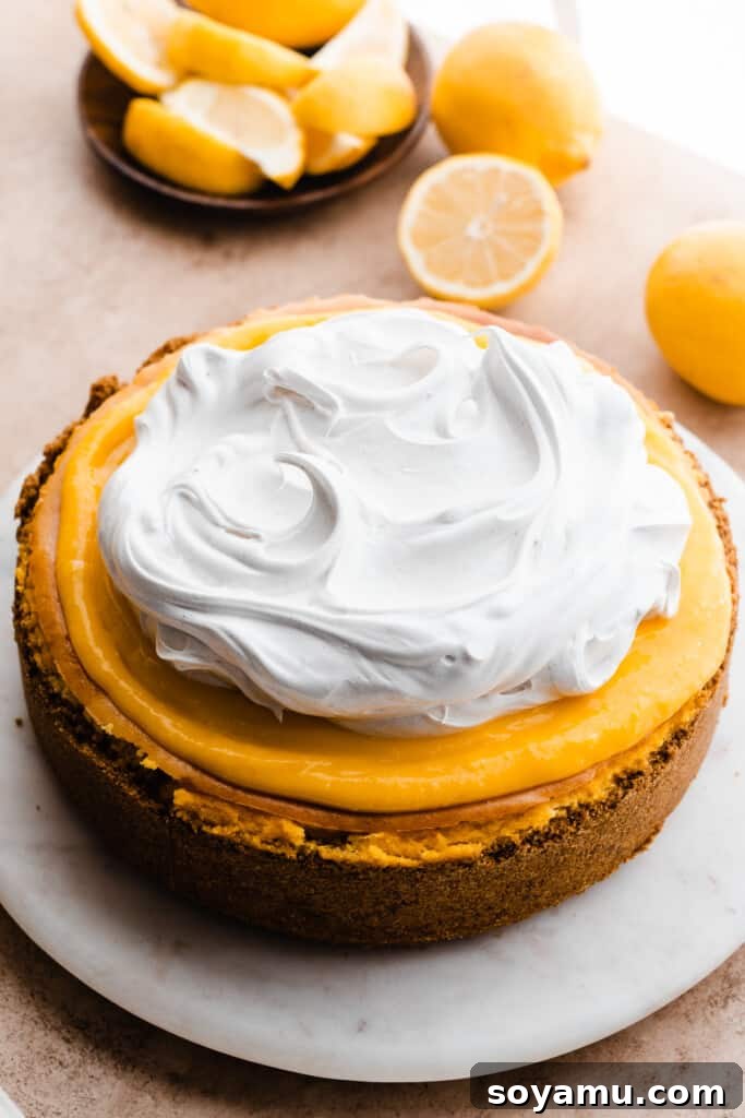 The fully assembled lemon meringue cheesecake, decadently topped with a smooth layer of lemon curd and an impressive mound of fluffy, toasted meringue.