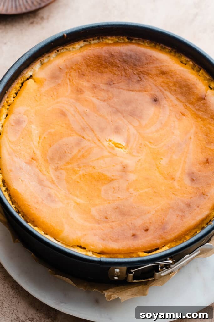 The baked lemon cheesecake, still in its springform pan, showing a slightly golden top and perfectly set edges, after being removed from the oven and water bath.