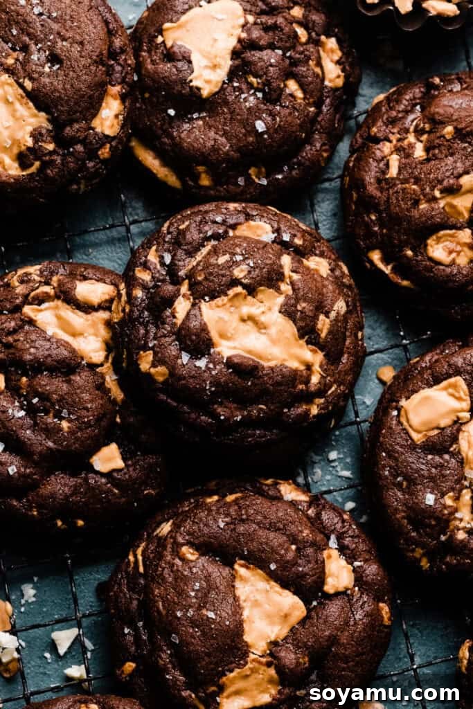 Unlocking the Flavor of Caramelized White Chocolate 3 Rich chocolate cookies generously studded with large chunks of golden caramelized white chocolate, showcasing its versatile use in baking.