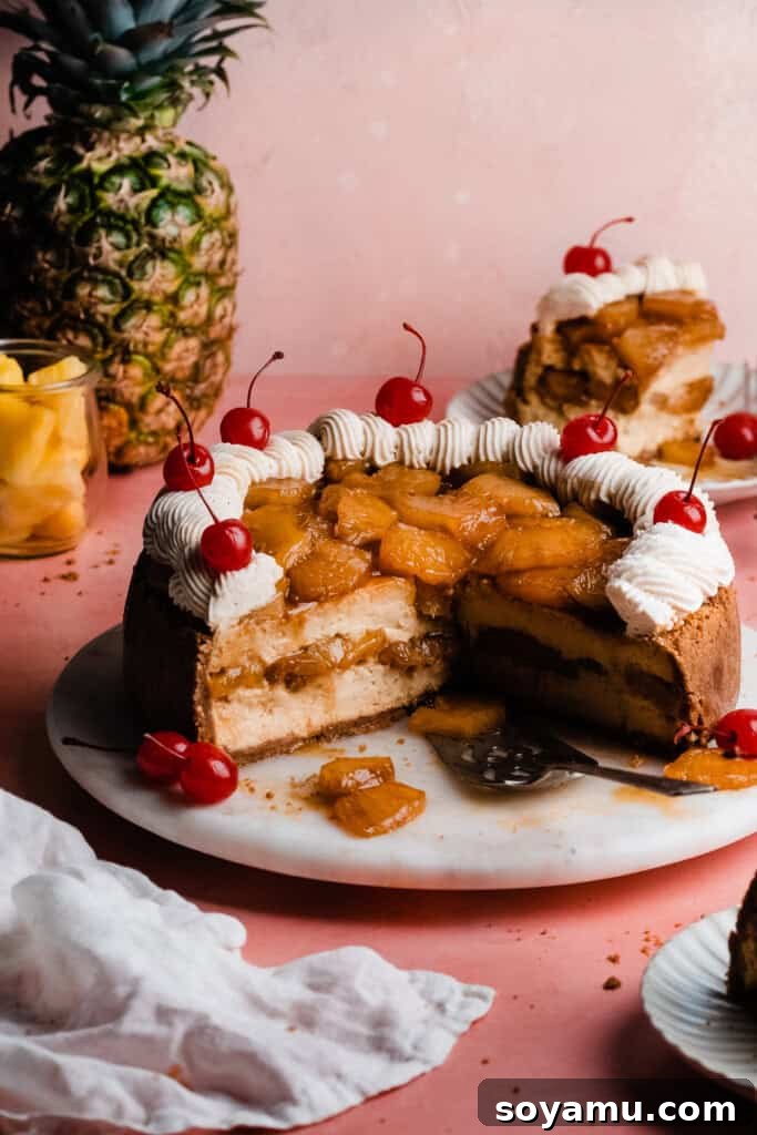 Pineapple Paradise Cheesecake 2 The sliced open pineapple cheesecake on a cake plate, showing the layers of crust, cheesecake, and pineapple filling inside.