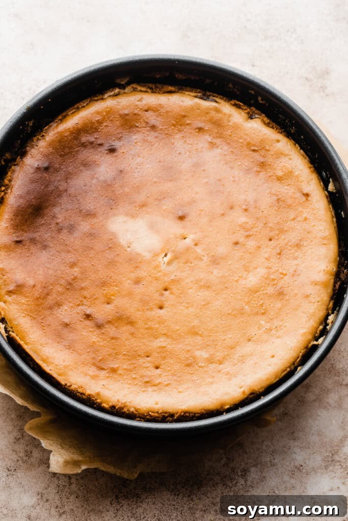 Pineapple Paradise Cheesecake 9 The baked and chilled cheesecake.