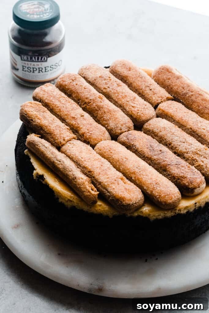 Decadent Mocha Tiramisu Cheesecake 9 The chilled cheesecake, beautifully topped with a layer of espresso-soaked ladyfingers, ready for the final cream.