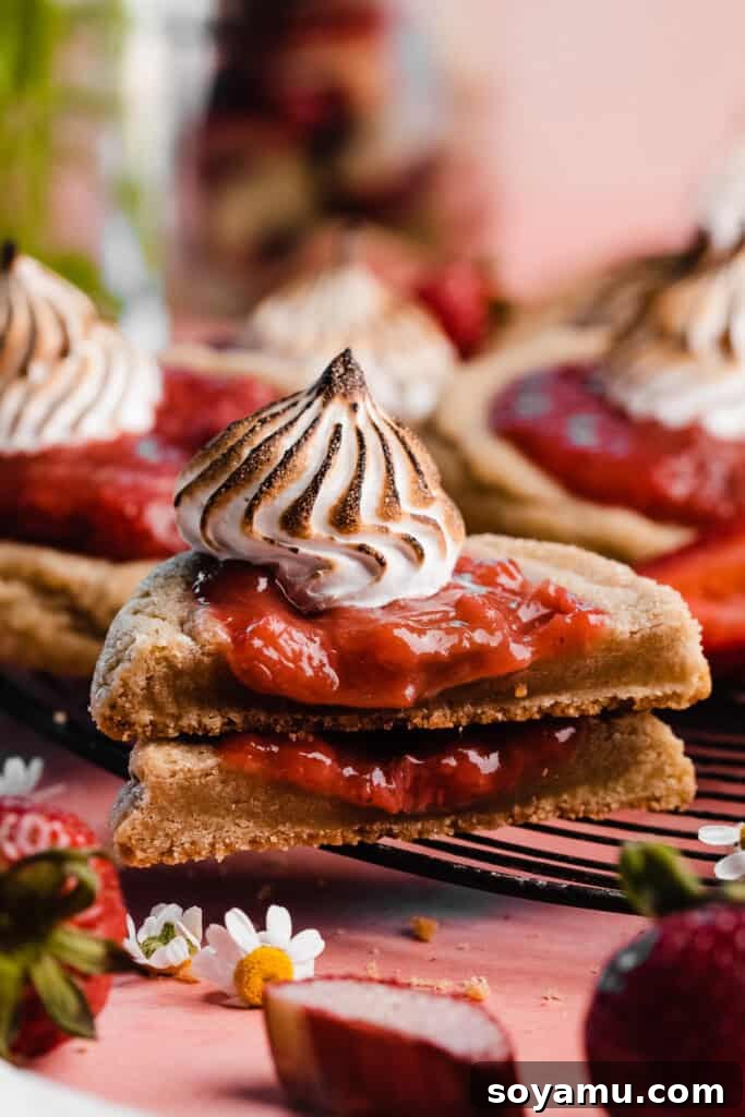 A stack of two cookie halves on a vintage wire rack, showcasing the chewy cookie interior and generous fruit filling.