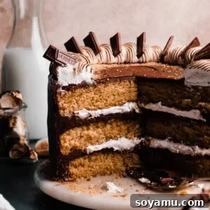 The sliced open s'mores cake, showing the layers of graham cracker cake, marshmallow fluff, and chocolate frosting.
