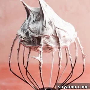 A stand mixer whisk full of swiss meringue, with the peaks at a very firm stage.