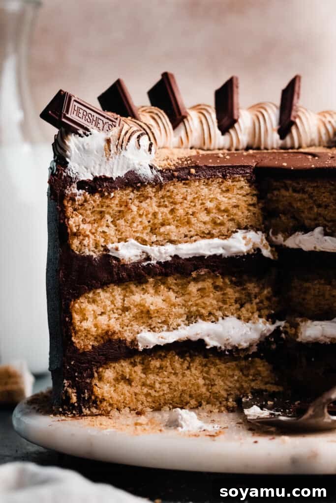 Crafting Silky Smooth Swiss Meringue 9 A close-up of a sliced S'mores cake, revealing layers of fluffy Swiss meringue filling and a rich chocolate cake base.