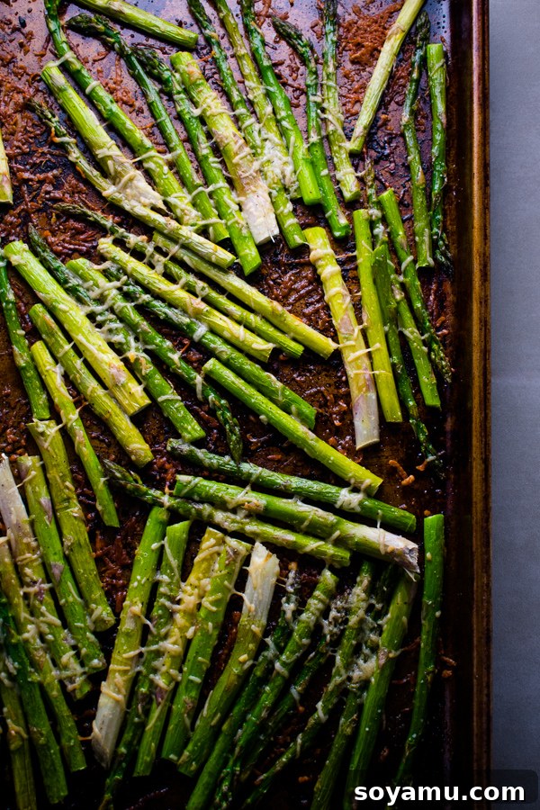 Golden Roasted Parmesan Asparagus 4 Prepped asparagus spears, seasoned with olive oil, garlic, salt, pepper, and parmesan cheese on a baking sheet