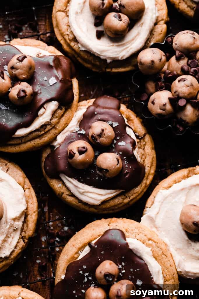 A close-up of beautifully decorated cookie dough cookies on a dark backdrop, showcasing their rich chocolate and edible dough toppings.
