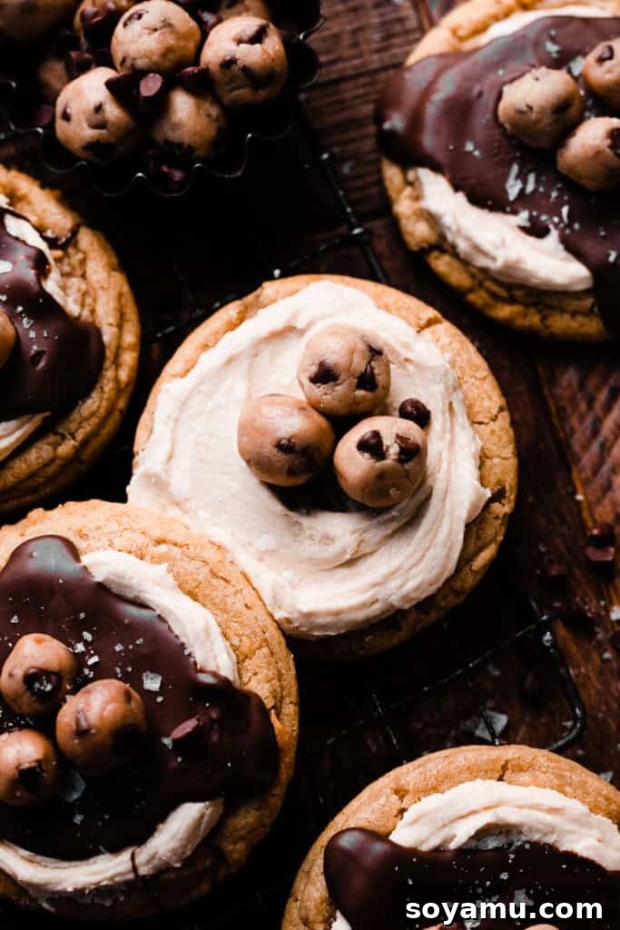 A single, perfectly decorated cookie dough cookie, highlighting its luscious frosting, chocolate drizzle, and edible dough topping.
