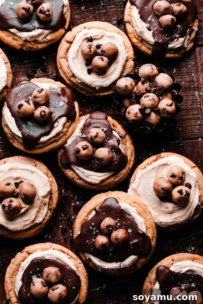 Beautifully decorated cookie dough cookies arranged on a vintage wire rack, set against a rustic wooden background.