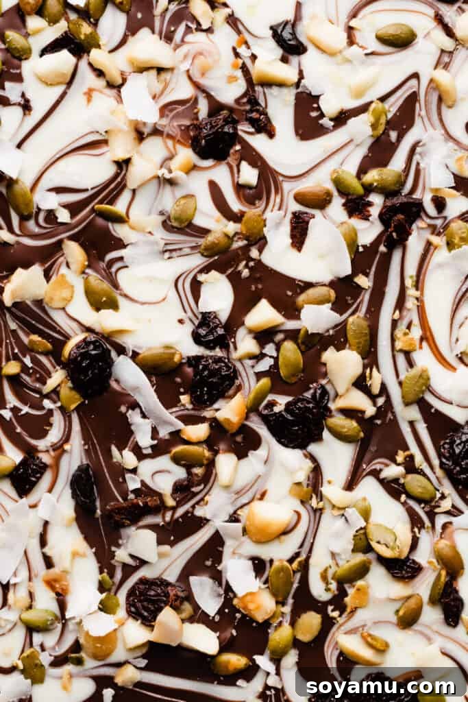 Easy Five-Ingredient Homemade Chocolate Bark 3 A close-up shot of a pan of swirled chocolate bark, generously topped with dried cherries, crunchy pepitas, macadamia nuts, and delicate coconut flakes.