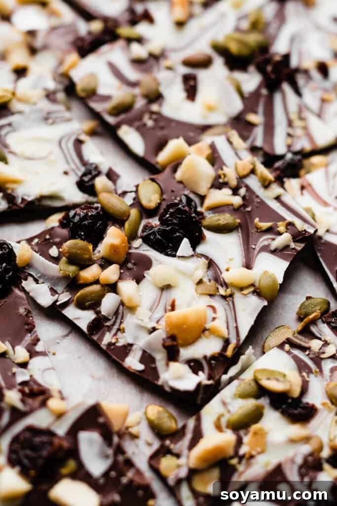 Easy Five-Ingredient Homemade Chocolate Bark 6 Individual pieces of vibrant chocolate bark artfully arranged on parchment paper, highlighting their rich toppings.