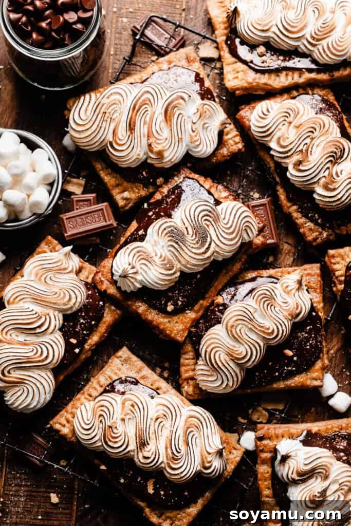 Multiple s'mores pop tarts displayed on a vintage wire rack, highlighting their rustic charm and deliciousness.
