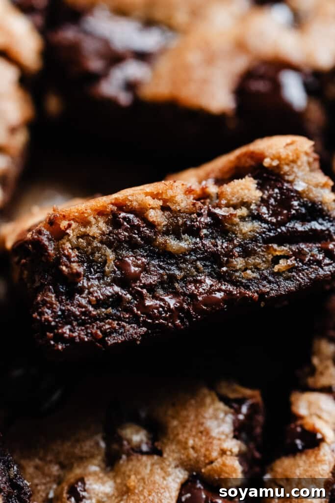 Nutty Brown Butter Brookies 9 A close-up of a single brown butter brookie bar, showing its rich texture and chocolate chunks.