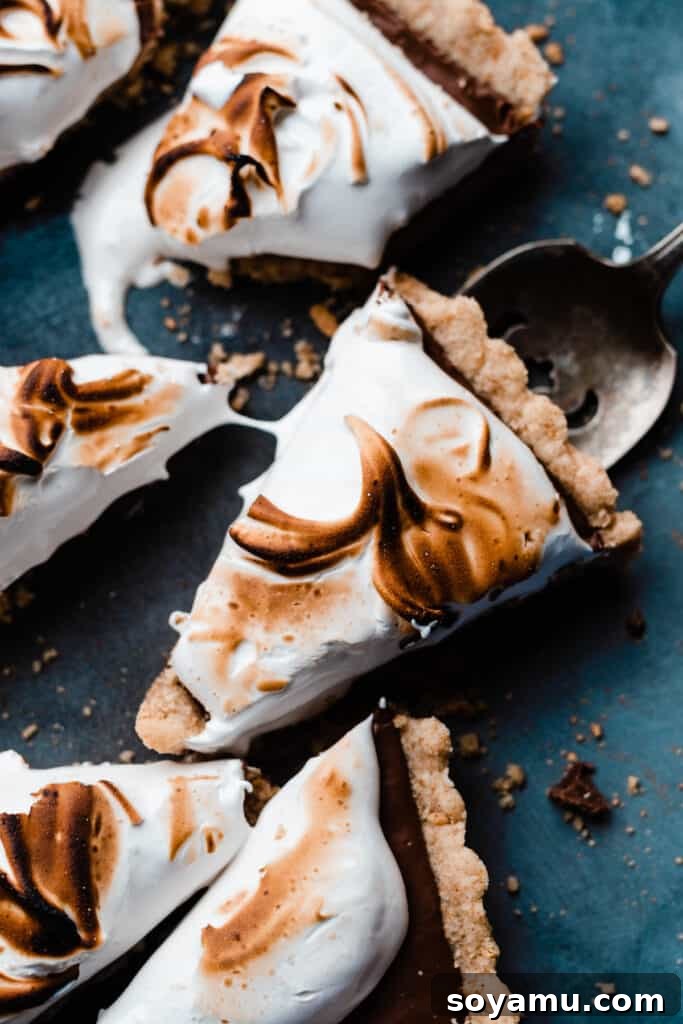 Gourmet S'mores Tart with Torched Meringue 12 A single, delectable slice of S'mores Tart elegantly presented on a cake server, ready to be enjoyed.