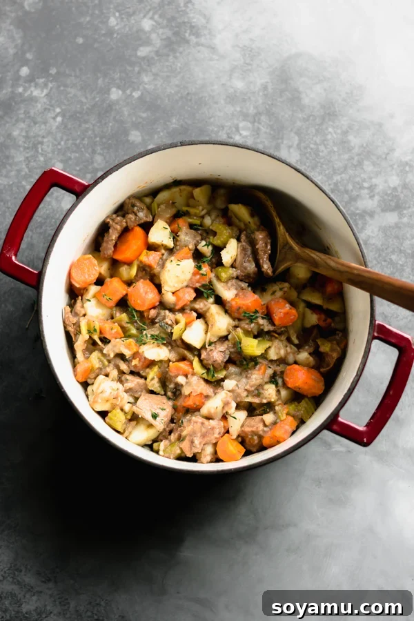 Rich, thick Irish stew in a pot, ready to serve.