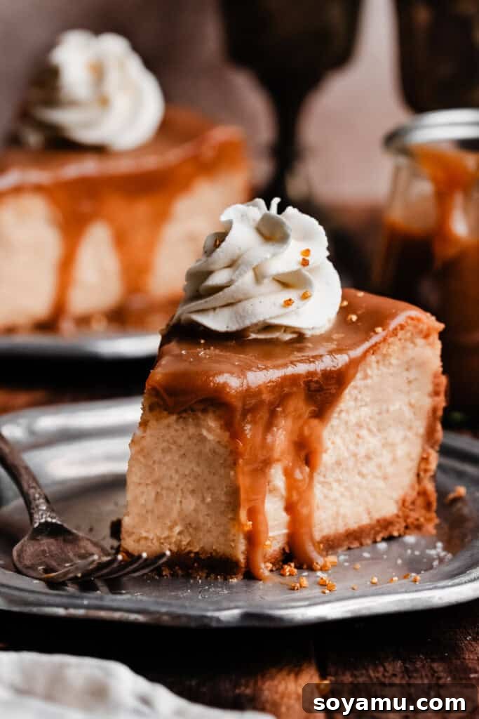 Whimsical Butterbrew Cheesecake 9 A perfectly sliced piece of Butterbeer Cheesecake on a white plate, showcasing its creamy interior, graham cracker crust, and the generous toppings of butterscotch sauce and whipped cream.